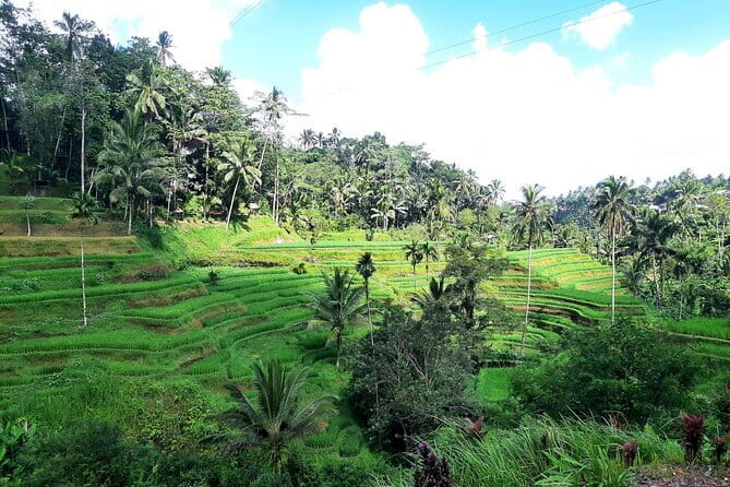BALI INSTAGRAM TOURS; Heaven Gate, Tirta Gangga, Tukad Cepung waterfall - Included vs. not included: what you’ll still pay for