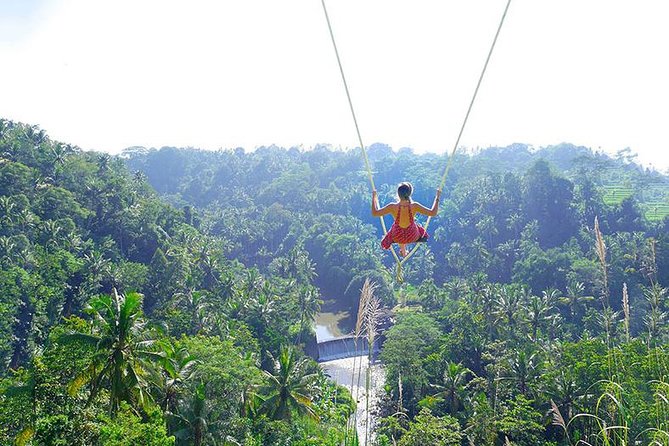 Bali Jungle Swing and White Water Rafting All Inclusive - Key highlights to zero in on