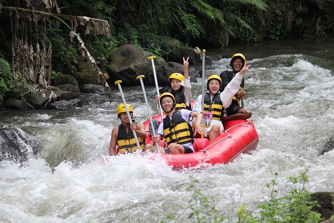 Bali Jungle Swing and White Water Rafting All Inclusive - Gear, safety standards, and how guides keep things moving