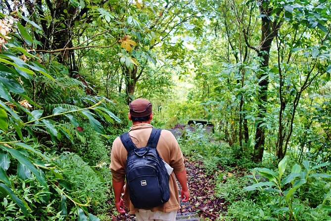 Bali Jungle Trekking in Beautiful Rainforest - Stop 1: Tamblingan Lake and that cool plateau feeling