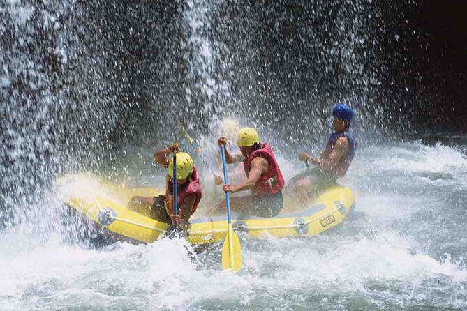 Bali Jungle White Water Rafting Adventure - Quick hits