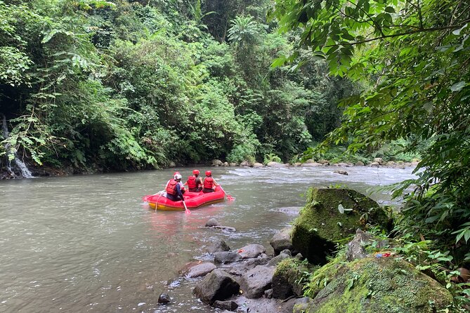 Bali Jungle White Water Rafting Adventure - Price and value: what $51.29 really buys (and what can add up)
