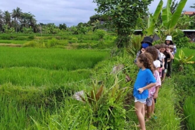 Bali: Lempuyang Temple, Waterfall & Rice Terrace Private Tour - Price and value: what you’re paying for (and what you aren’t)