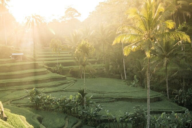 Bali: Lempuyang Temple, Waterfall & Rice Terrace Private Tour - Lempuyang Temple and the Gate of Heaven Mt. Agung photo setup