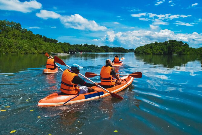 Bali Mangrove Canoeing Tour - The Logistics That Make or Break a Wet, Outdoor Tour