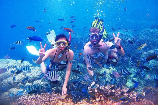 Bali Menjangan Island Snorkeling Day Tour - Gear, lunch, and comfort items you should not forget
