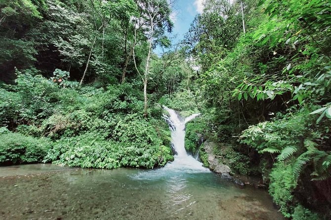 Bali Most Scenic Waterfalls Trekking - Pickup, Timing, and a 8-Hour Day in the Mountains