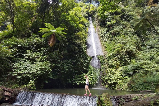 Bali Most Scenic Waterfalls Trekking - Wanagiri Hills and the Twin-Lake Breaks (Buyan and Tamblingan)