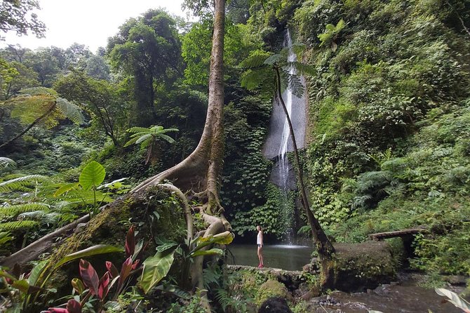 Bali Most Scenic Waterfalls Trekking - The Main Event: Multiple Waterfalls and Swim Options