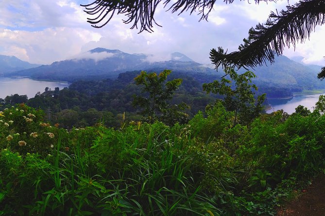 Bali Most Scenic Waterfalls Trekking - Ambengan Rice Terrace: Why You Need One Non-Waterfall Stop