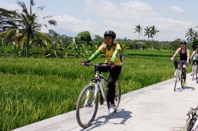 Bali Mountains and Villages Cycling Tour - Key highlights to know before you go