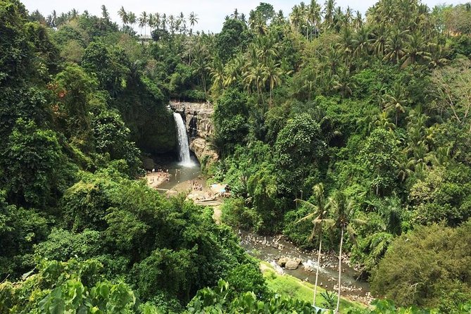 Bali Night Market Experience and Ubud Highlights tour - Who Should Book This Ubud Highlights + Night Market Tour