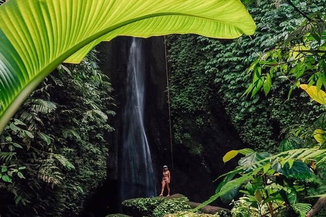 Bali : Northern Bali Private Day Trip with Transfer - Key Points You’ll Appreciate on This Northern Bali Day Trip