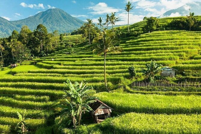 Bali : Northern Bali Private Day Trip with Transfer - Stop 2: Leke Leke Waterfall—Photos, Cool Air, and a Swim If You Want