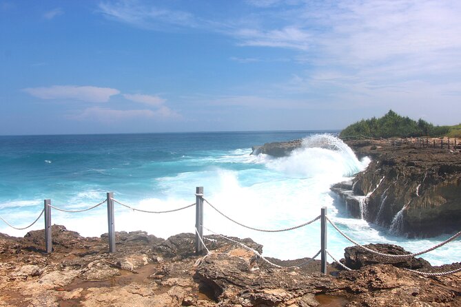 Bali Nusa Lembongan Islands Private Tour - All Inclusive - Mangrove Point Mangrove Tour: Protected Habitat by Boat