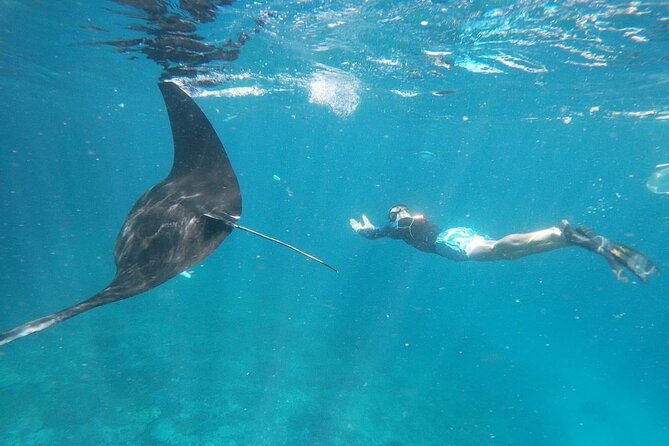 Bali Nusa Penida and Private Snorkeling (Manta Bay, Gamat, Wall) - Price and logistics for a 10-hour Nusa Penida day from Kuta