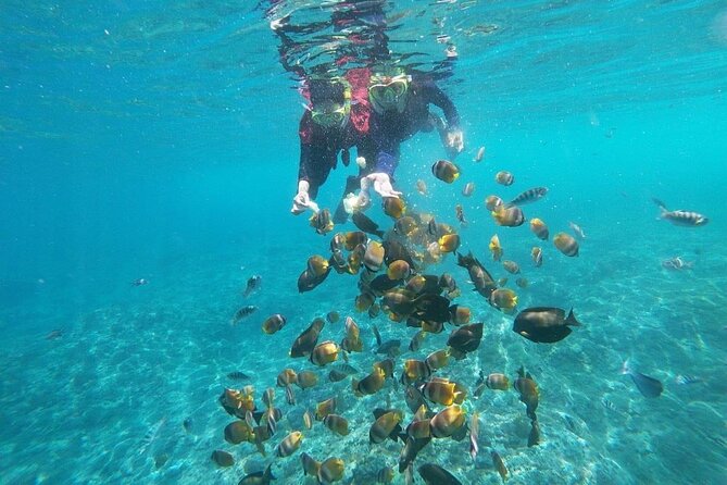 Bali Nusa Penida and Private Snorkeling (Manta Bay, Gamat, Wall) - Gamat Bay: coral, color, and a calmer second snorkel