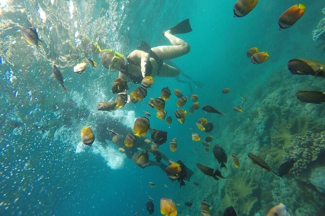 Bali Nusa Penida and Private Snorkeling (Manta Bay, Gamat, Wall) - Private boat, equipment, and an instructor you can ask questions to