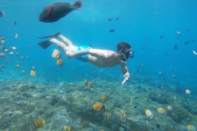 Bali Nusa Penida and Private Snorkeling (Manta Bay, Gamat, Wall) - Lunch and water: small things that keep your day on track