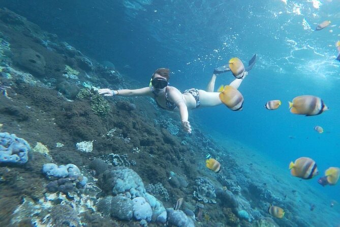 Bali Nusa Penida and Private Snorkeling (Manta Bay, Gamat, Wall) - What can trip you up: rough water, currents, and jellyfish