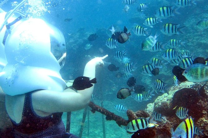 Bali Ocean Walker - Pickup, timing, and what a 3-hour outing really feels like