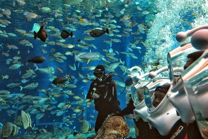Bali Ocean Walker - Safety setup: helmets, oxygen, and professional guidance