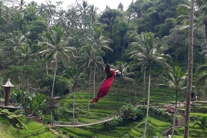 Bali Private 3 Days Tour Package Highlight - Day 2: Tanah Lot timing, twin-lake views, Banyumala falls, and Bratan’s temple
