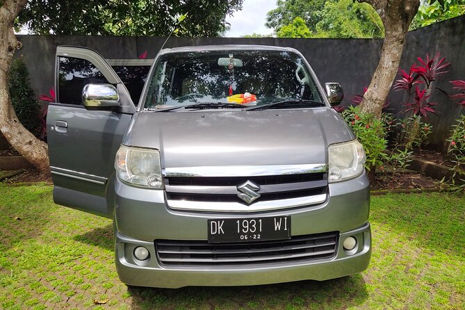 Bali Private Car and Customize Tour With English Speaking Driver - Where this tour fits best