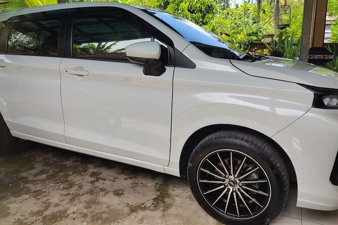 Bali Private Car and Customize Tour With English Speaking Driver - Should you book this Bali private car and customize tour?