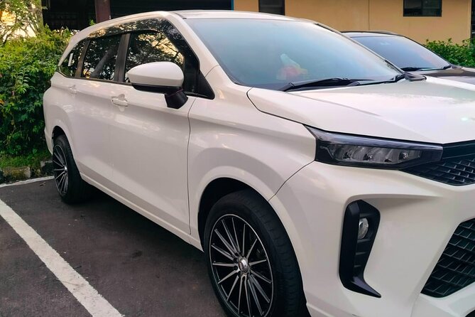 Bali Private Car Charter & Customize Tour With Driver English Speaking-Free WiFi - Private car charter: why this feels easier than DIY in Bali