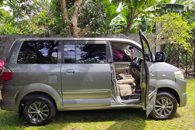 Bali Private Car Charter & Customize Tour With Driver English Speaking-Free WiFi - Temple start in Batuan: Pura Puseh Desa Batuan