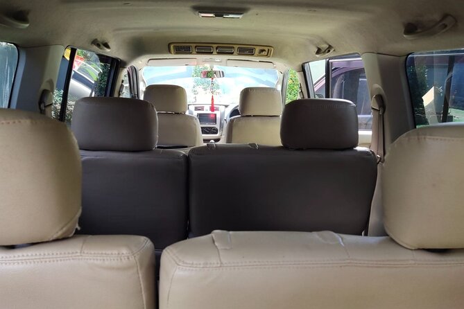 Bali Private Car Charter & Customize Tour With Driver English Speaking-Free WiFi - Tegalalang rice terraces: the classic view you’ll actually understand
