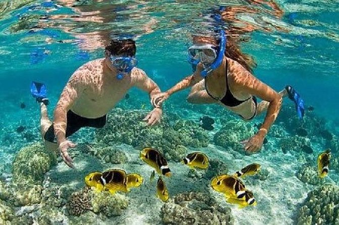 Bali Private Car Charter Tour with English Speaking Driver - What the best drivers do: routing that saves your day
