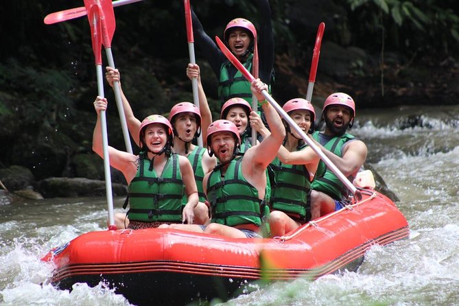 Bali Private Car Charter Tour with English Speaking Driver - Custom itinerary: how you pick your Bali day