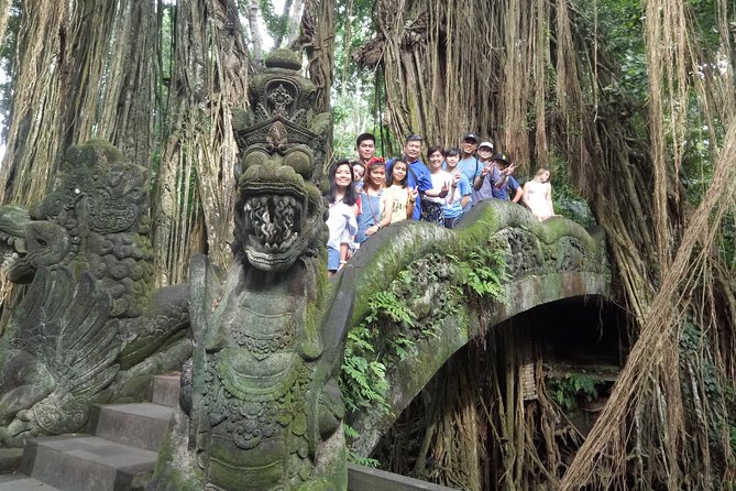 Bali Private Car Charter with English Speaking Driver Or Guide - Who should book this, and who might want a different plan