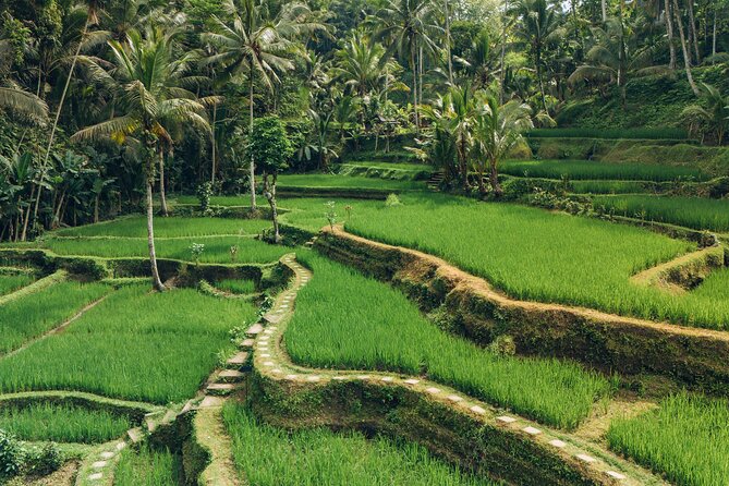 Bali Private Car Full Day Customized Tour With Drone Service - Why the Drone Service Changes the Feel of the Day