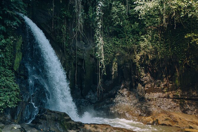 Bali Private Car Full Day Customized Tour With Drone Service - Price and Logistics: When $33 Per Person Feels Like a Deal