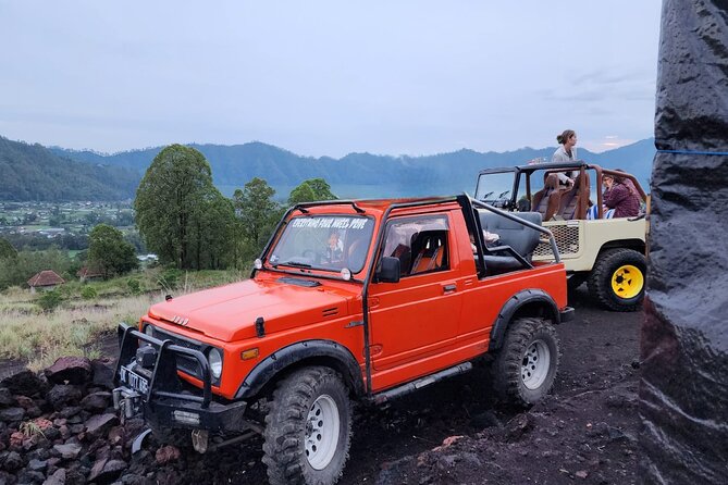 Bali Private Custom Tour - Timing, weather, and budgeting for entry fees