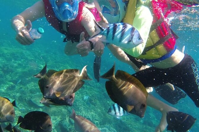 Bali Private Custom Tour - What you really get for the $32 price