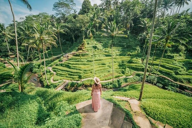 Bali Private Driver - Bali customized private tour - Bedugul, Wanagiri, and Jatiluwih: scenic detours with time trade-offs