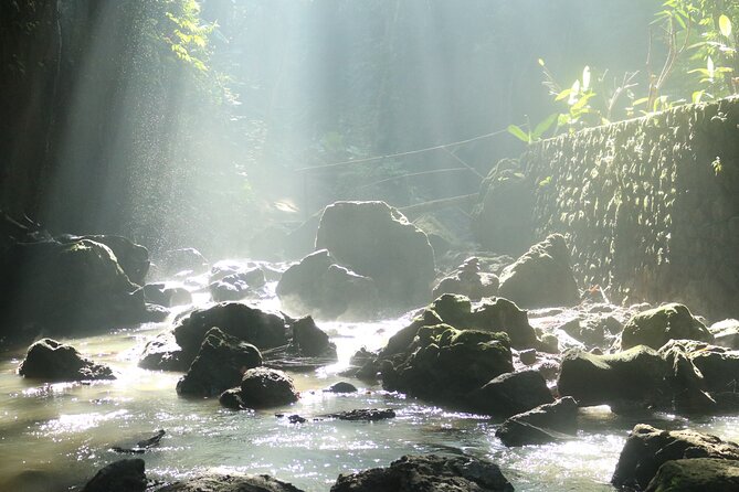 Bali Private Full Day Tour to Visit the Best Waterfalls and Swing near Ubud - Stop 4: Ubud’s terrace swing park and photo lineup