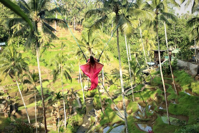 Bali Private Full Day Tour to Visit the Best Waterfalls and Swing near Ubud - Stop 5: Tegalalang Rice Terrace for fast, scenic browsing