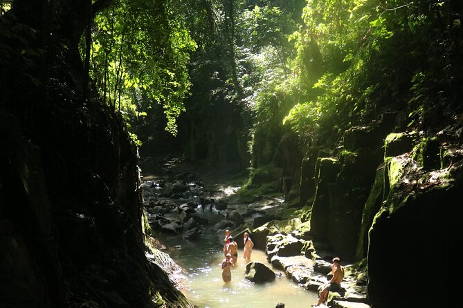 Bali Private Full Day Tour to Visit the Best Waterfalls and Swing near Ubud - Price and logistics: what $77 per group really means
