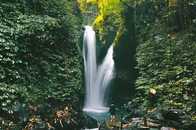 Bali : Private Fullday trip, Discover North Bali Destination - Munduk Ricefields, Munduk Waterfall, and Banjar Hot Springs
