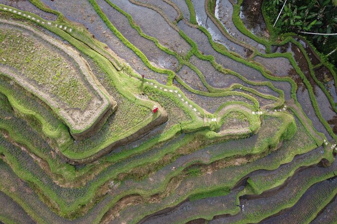 Bali Private Photographer & Drone - How the 2-Hour Ubud Photo Shoot Really Feels