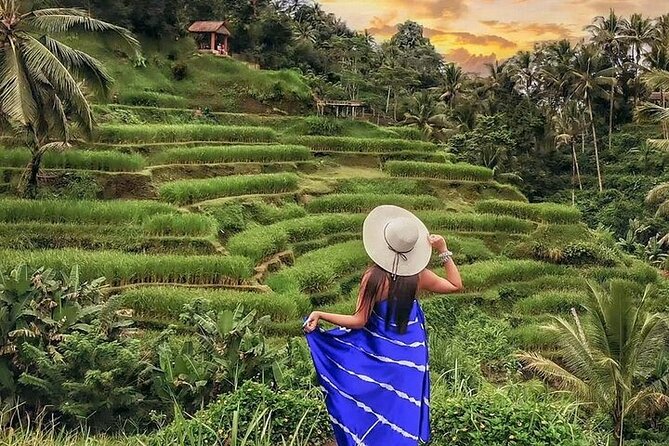Bali Private Tour - Best of Ubud - All Inclusive - Tegenungan Waterfall: a daytime reset with included entry