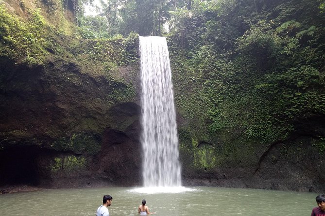 Bali Private Tour Guide And Driver - Price and Value: Why $32 Feels Like a Deal for a Full Day