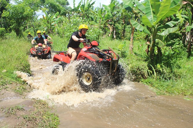 Bali Private Tour Guide And Driver - A Family Village Visit: The Kind of Moment You Can’t Rush