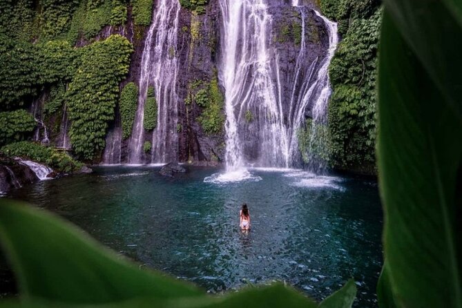 Bali Private Tour: Handara Iconic Gate, Watefall and Temple - Key highlights that make this tour worth your time