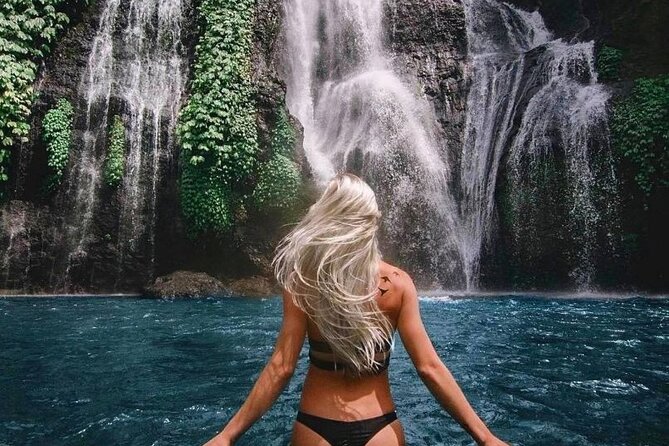 Bali Private Tour: Handara Iconic Gate, Watefall and Temple - Private North-Bali day trip: what the “private” part changes